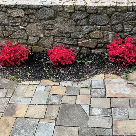 Blue Magnolia - A quiet apartment in a quaint Gloucester MA village
