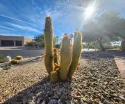 Rams Hill Golf Course ~ Relaxing Anza-Borrego Desert Getaway!