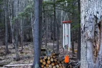 Container Cabin in the Catskills [Forest]