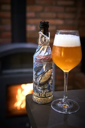 Thatched roof fisherman's house - Vorpommersche Boddenlandschaft National Park - Baltic Sea