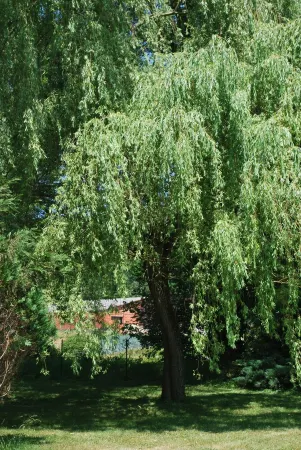 Gîtes between Périgord and Quercy