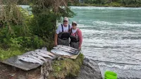 Moose Crossing Lodge - Sport Fishing Paradise - Famous Kenai River, Alaska