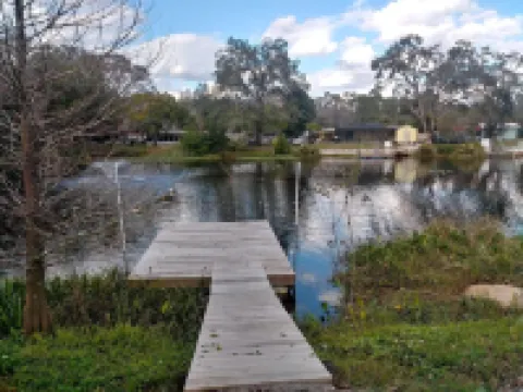 WATERFRONT COTTAGE w/ACCESS TO WEEKI WACHEE RIVER & GULF FRESHLY REMODELED!