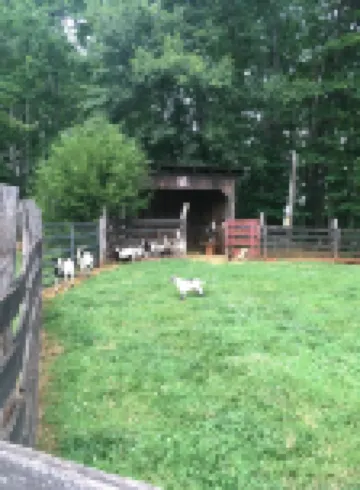 Your Mayberry Get-a-Way Cabin- Only 6 Miles from Downtown Mount Airy