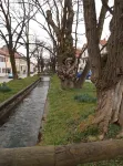 newly furnished apartment in the center Because home for 2 persons