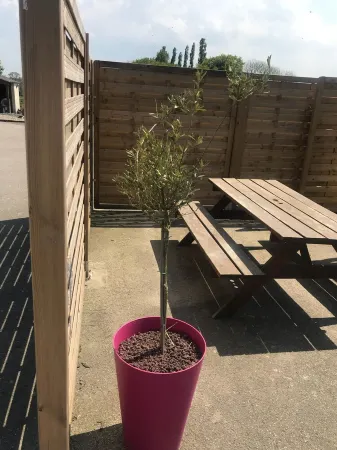 GITE DES QUATRE VENTS