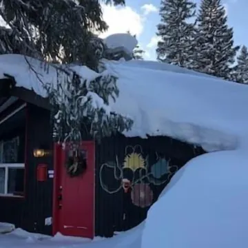 Hidden Gem! Swiss Cottage Ski Chalet