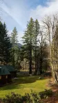 Mckenzie River Cabin #13 at the Log Cabin Inn, screened porch, .5mi Trailhead