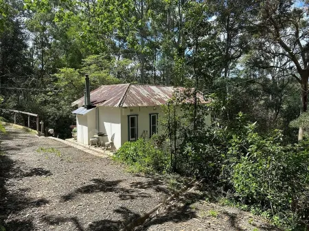 Bedford Cottage  - Cosy mountain bush retreat.
