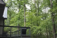 The Cabin on the Run