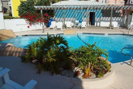 Seaside Paradise – Downstairs Unit - 1BR/1BA – Close to beach and pool! Отели рядом с достопримечательностью «Palmilla Beach Resort & Golf Club»