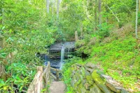 Charming 3-bedroom cottage Cashiers fiber WiFi w/1,200 sq ft outdoor space