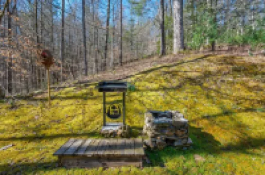 Cabin at Moss Ridge / Quiet Privacy