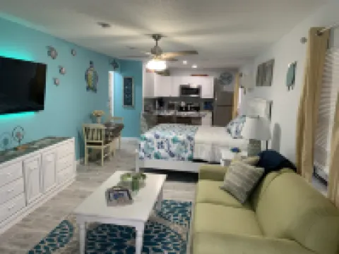 Walk to Gulf Beach Access! Coastal Studio – Starfish Stays 2C Dog Friendly.