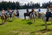 Oak Hill Oasis - Tropical Villa & Salt Pool - BB&T Center, Everglades & Beaches