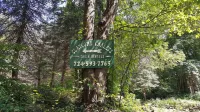 Seven Springs Cabin - Luna Chalet - Authentic, Pet Friendly Log Cabin