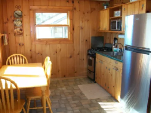 Cozy 2 Bedroom Cabin With Gas Fireplace