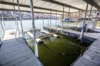 Private Lakefront Cabin in State Park w/ Dock