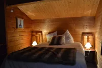 Les Mélèzes - Very beautiful Chalet 200m from the slopes of La Plagne - 12-15 pers.