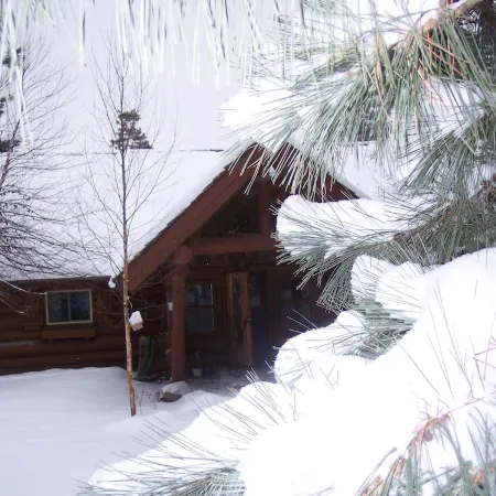 Full Log Family Lodge - private dock/beach & fire pit