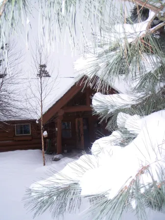 Full Log Family Lodge - private dock/beach & fire pit