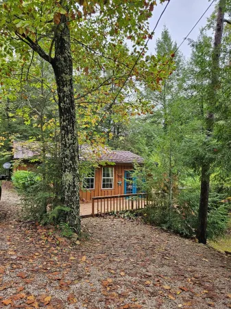 2BR cabin with private hollow, creek, and historic dam, minutes to trails/food
