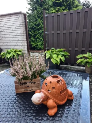 Ferienwohnung an der Weser فنادق في Wesermarsch