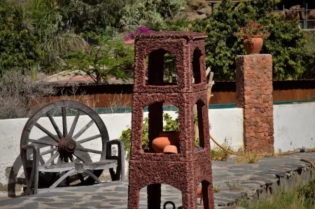 BIO Finca Las Tenerias Palomar 3