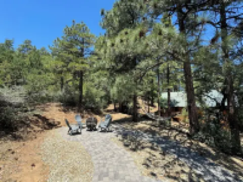 Cozy Cabin in the Pines with Views!