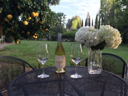 900 Square Foot Guest Cottage Built In 2013. Great For A Family of five max.