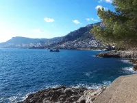 --- Beachfront Studio ----