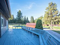 Sleeps up to16! Family Friendly! Newly Renovated, steps from the Golf Course! Hotels in Libby