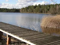 Cottage on the lake with lake view Hotels in Roding