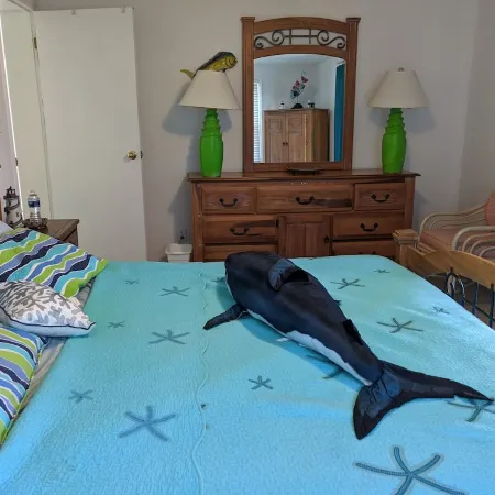 Reelin' Inn - Hatteras; Spectacular Sunsets, Dog friendly, WiFi, and Hot tub!