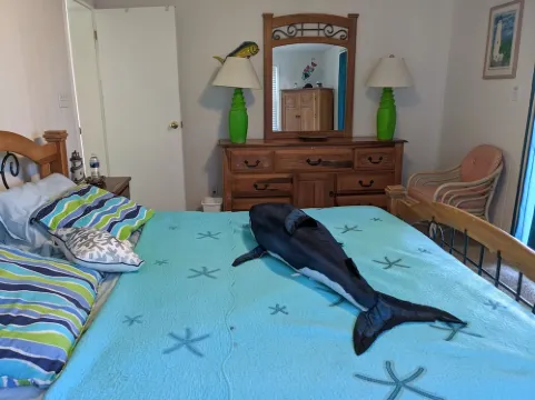 Reelin' Inn - Hatteras; Spectacular Sunsets, Dog friendly, WiFi, and Hot tub!