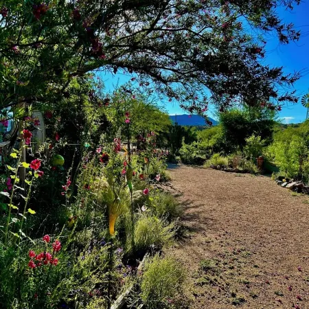 Artistic home and gardens Just a stones throw to Roosevelt Lake.