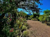 Artistic home and gardens  Just a stones throw to Roosevelt Lake.