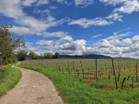 Traum's 3-room apartment in the heart of the three-country corner Hotels in Heitersheim