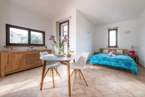 Amazing detached villa for near Stintino - Villas