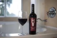 3-bedroom cabin with BEAUTIFUL views - 28 minutes from Shenandoah National Park