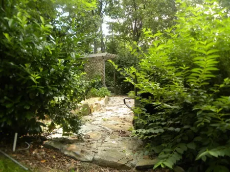 SPECTACULAR MOUNTAIN TOP VIEWS. LOOKOUT MOUNTAIN