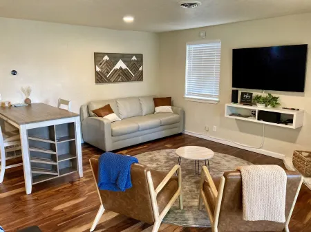 Contemporary Studio ... dog-friendly