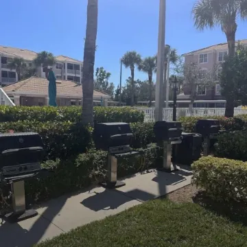 Majestic Palms