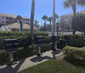 Majestic Palms