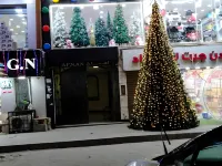 阿夫南開羅機場 開羅機場附近的飯店