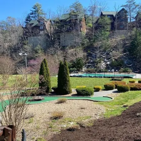 STUNNING MOUNTAIN VIEWS!! 2 br/2.5 ba Cabin, plus Loft! PRICE REDUCTION!