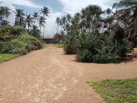 Prince Beach Hotel Bentota - Beach