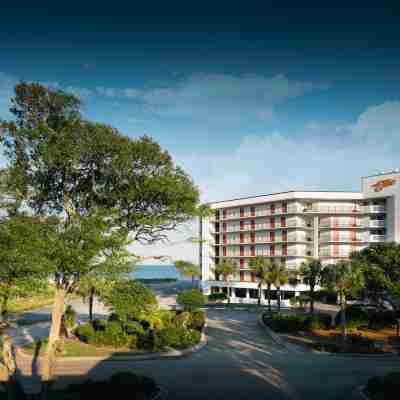 The Ellie Beach Resort Myrtle Beach, Tapestry by Hilton Hotel Exterior