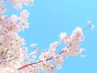Sanzokukan Hôtels à : Kuroishi