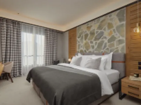 Wulfenia Hotel & Spa Hotels in Kolasin